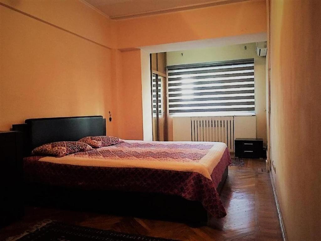 Spacious And Cozy Ташкент Екстер'єр фото